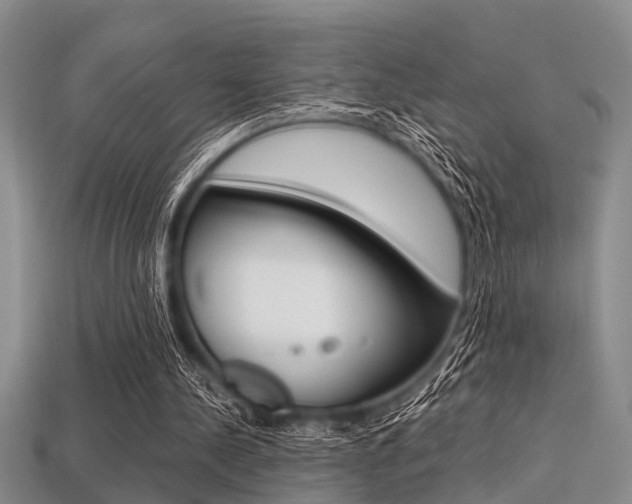 X0000113560244200909181027