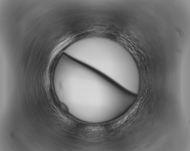 X0000113560245200909181027