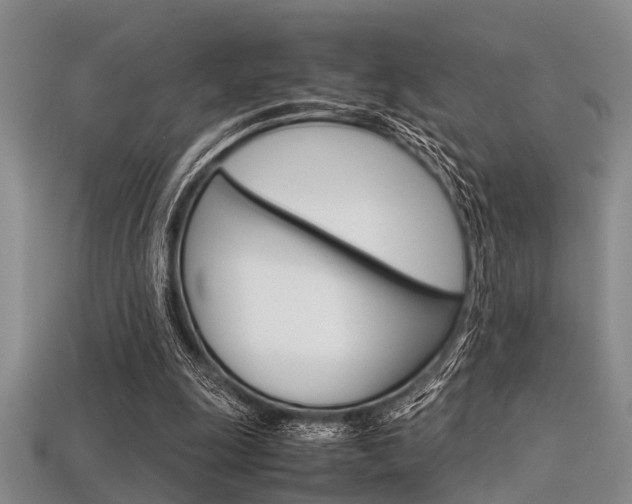 X0000113560247200909181027