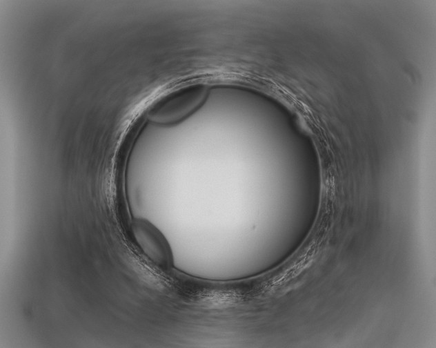 X0000113560248200909181027