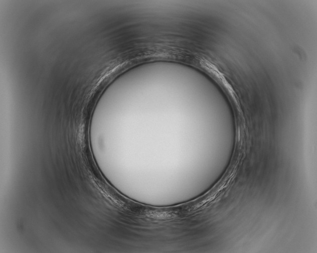 X0000113560249200909181027