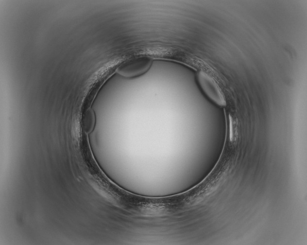 X0000113560252200909181027
