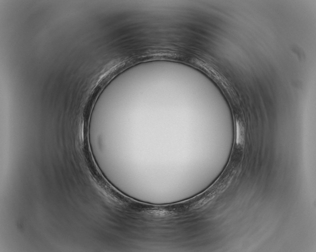X0000113560253200909181027
