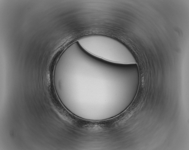 X0000113560254200909181027