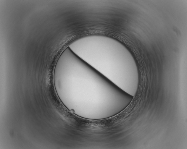 X0000113560255200909181027