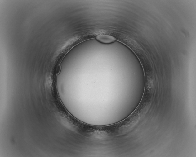X0000113560256200909181027