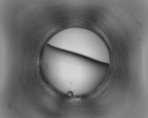 X0000113560257200909181027