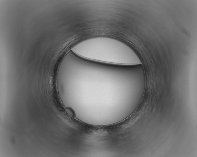 X0000113560258200909181027