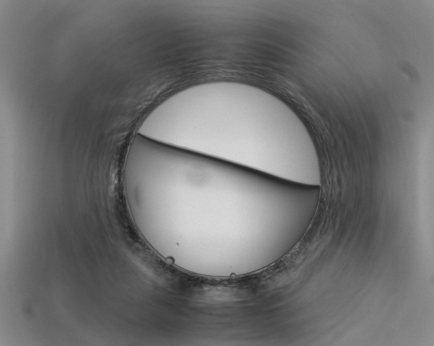 X0000113560259200909181027