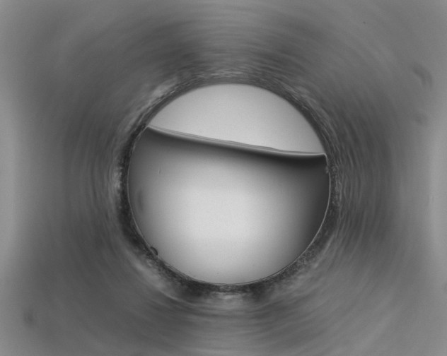 X0000113560260200909181027