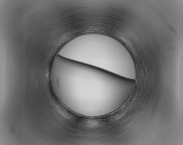 X0000113560261200909181027