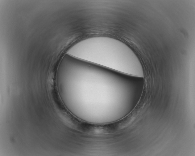 X0000113560264200909181027