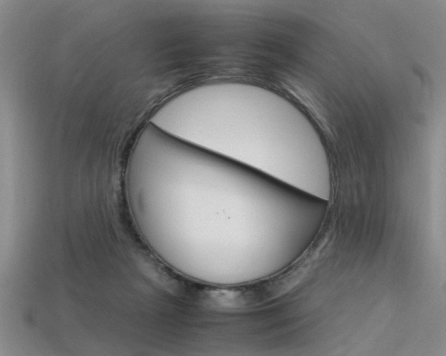 X0000113560265200909181027