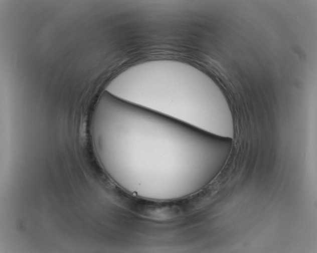 X0000113560267200909181027