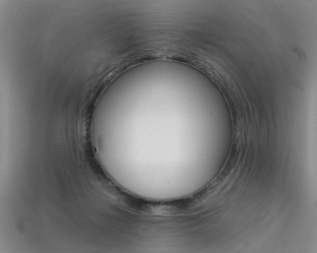 X0000113560268200909181027
