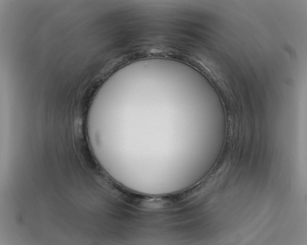 X0000113560269200909181027