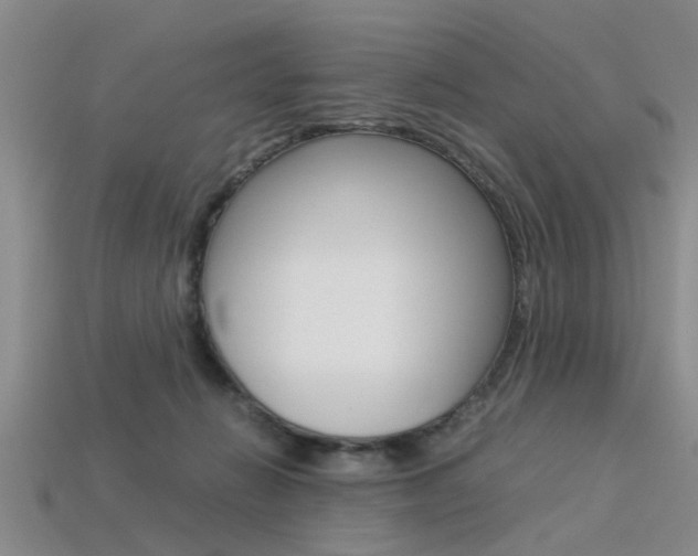 X0000113560270200909181027