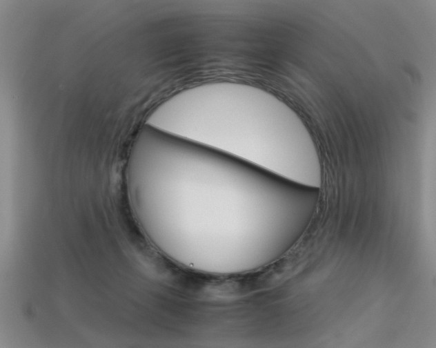 X0000113560271200909181027