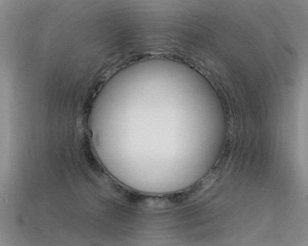 X0000113560272200909181027