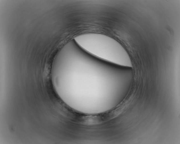 X0000113560273200909181027