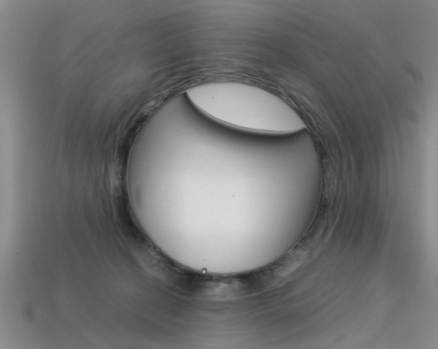 X0000113560274200909181027