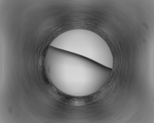 X0000113560275200909181027