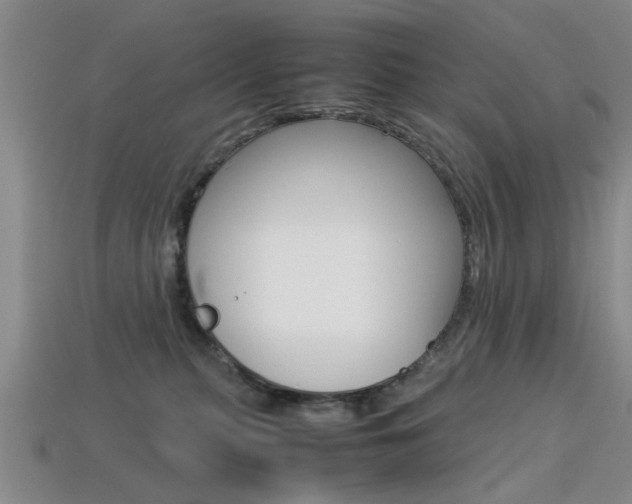 X0000113560279200909181027