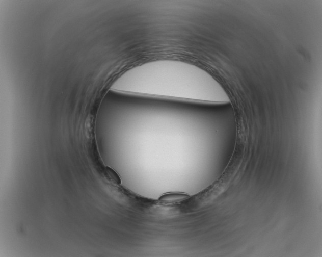 X0000113560280200909181027
