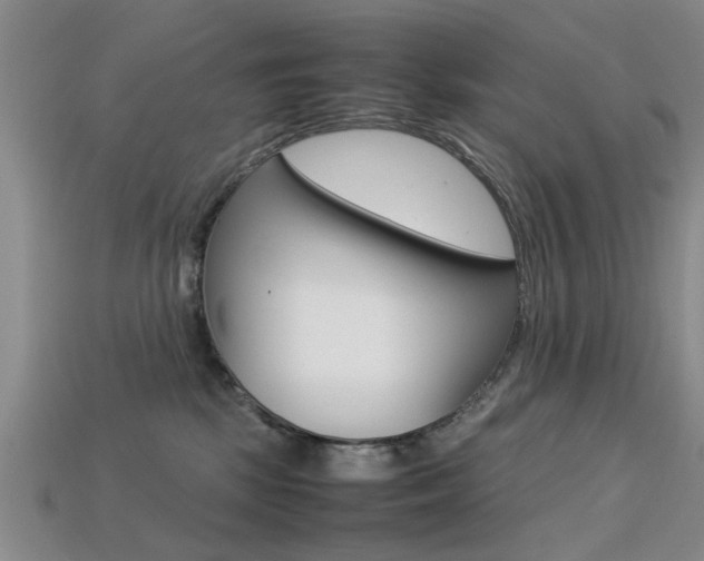 X0000113560281200909181027