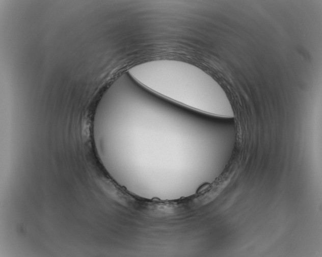 X0000113560282200909181027