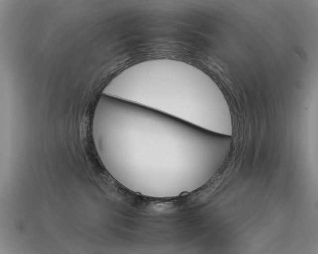 X0000113560283200909181027