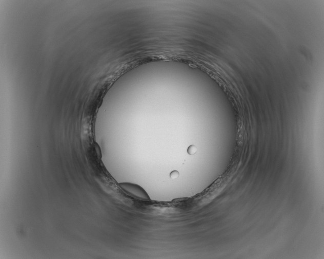 X0000113560284200909181027