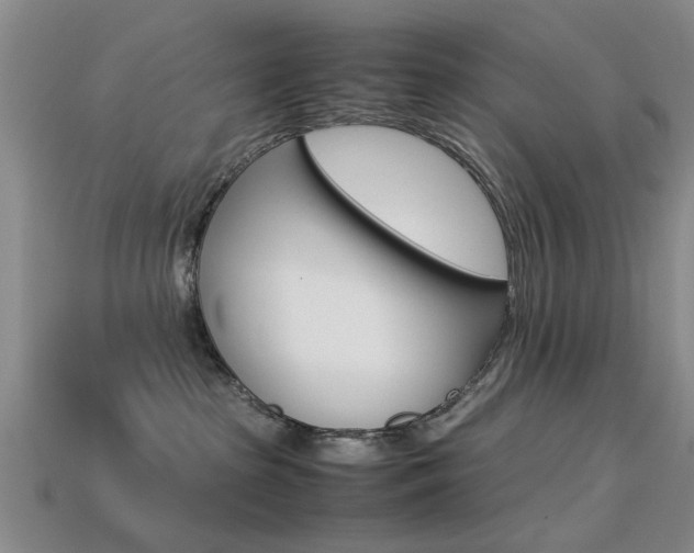 X0000113560285200909181027