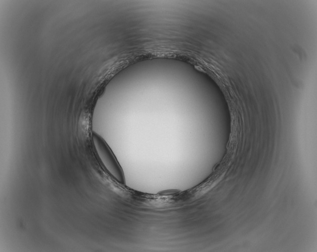 X0000113560288200909181027