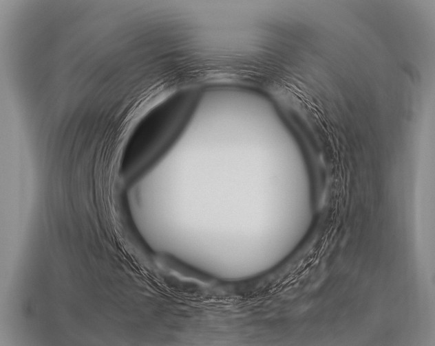 X0000113560289200909181027