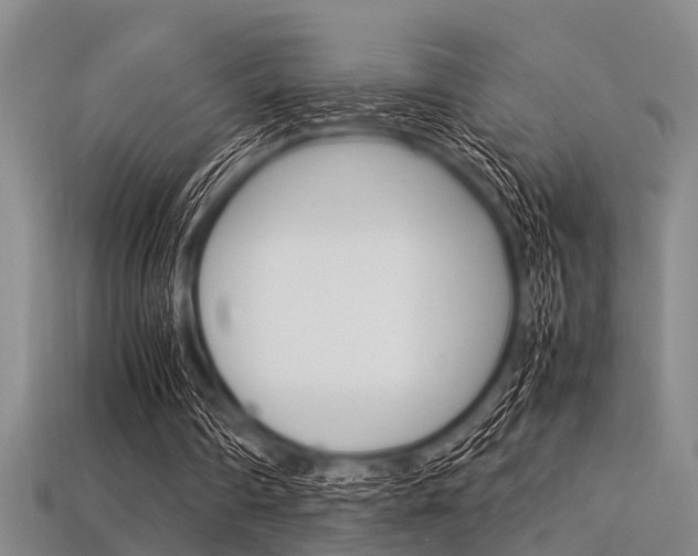 X0000113560290200909181027