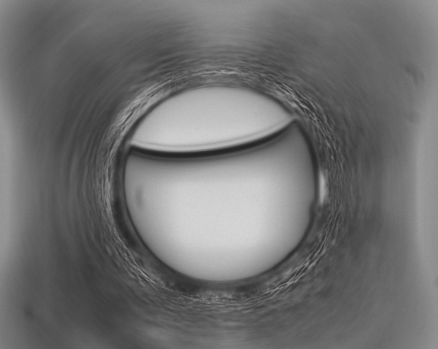 X0000113560291200909181027