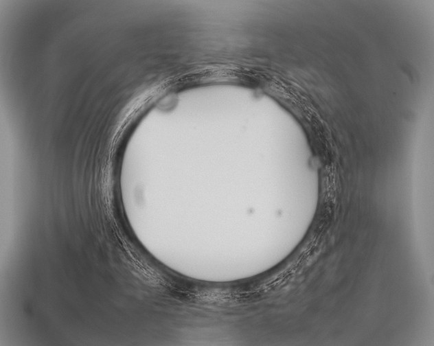 X0000113560293200909181027