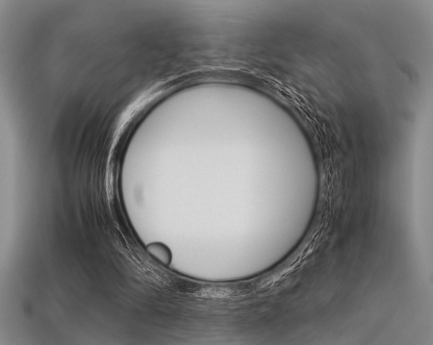 X0000113560294200909181027