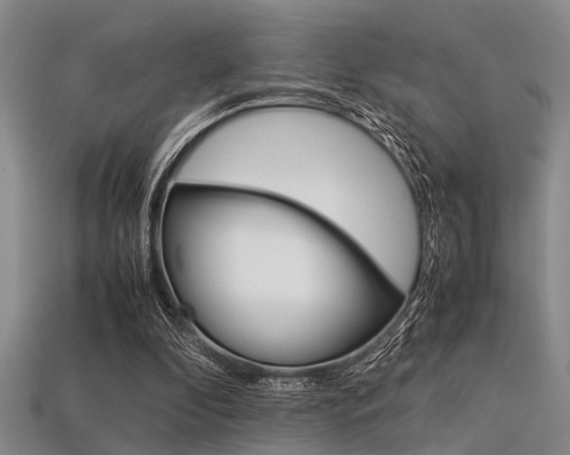 X0000113560296200909181027