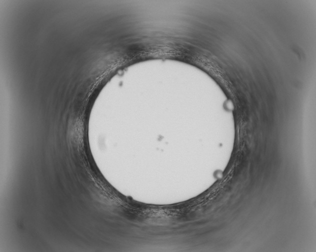 X0000113560297200909181027