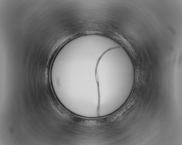 X0000113560298200909181026