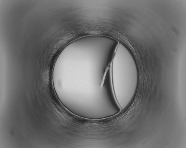 X0000113560299200909181026