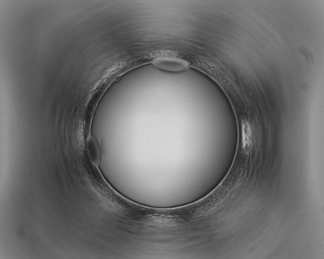 X0000113560300200909181026