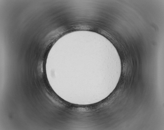 X0000113560302200909181026