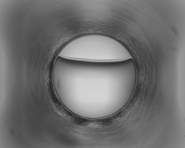 X0000113560303200909181026