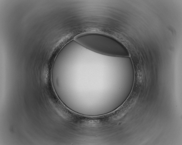 X0000113560304200909181026