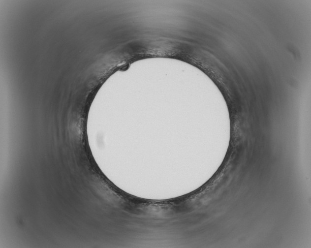 X0000113560305200909181026