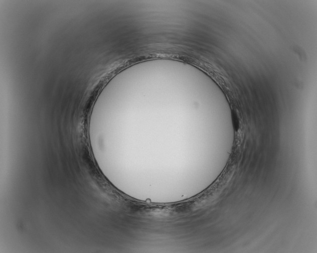 X0000113560306200909181026