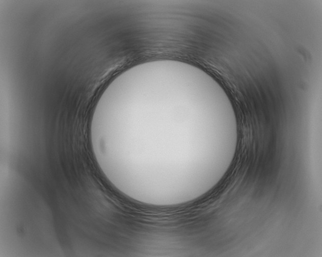 X0000113560308200909181026